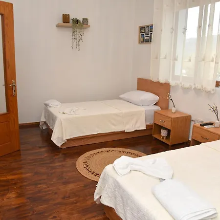 Apartament Woodland Center